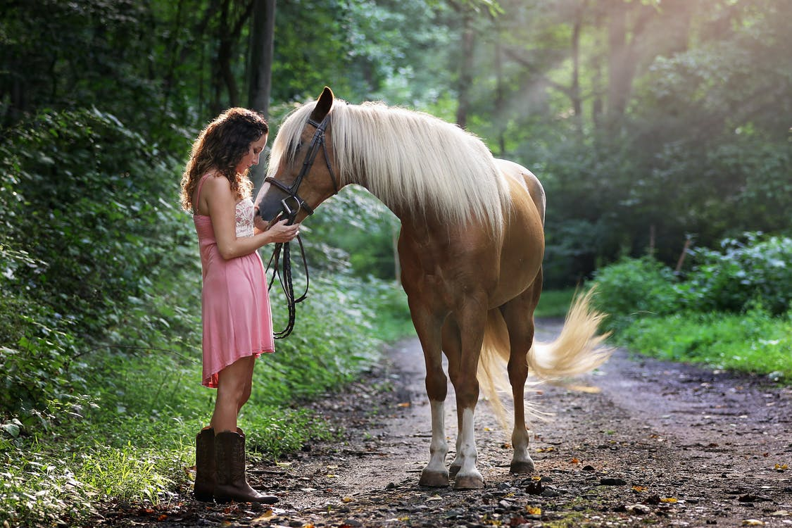 30+ Most Inspirational, Funny, and Punny Horse Lover Quotes
