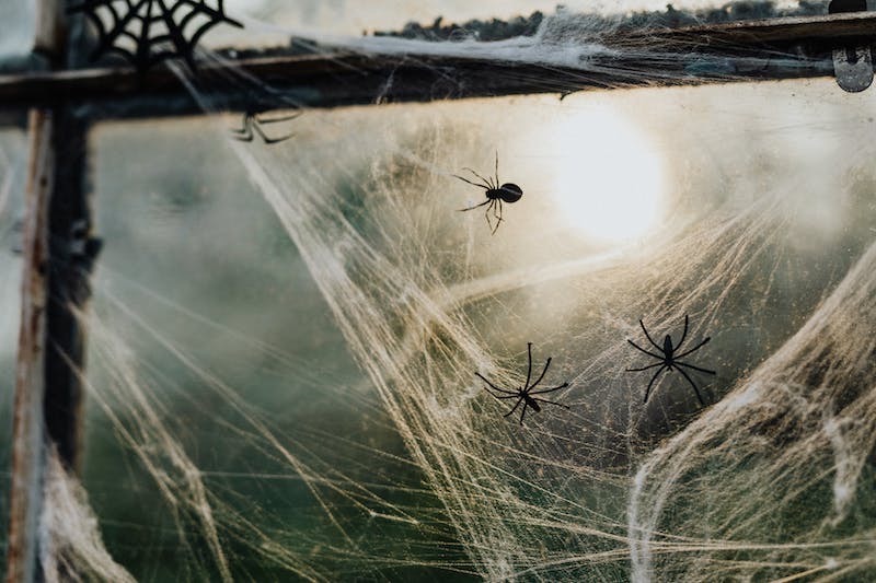 18 Halloween Window Decorations to Make Your Home Look Spooky Inside and Out