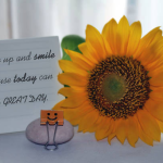 60+ Good Morning Messages to Brighten Your Day