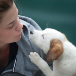 300+ Unique Names for Your Incredible Pets